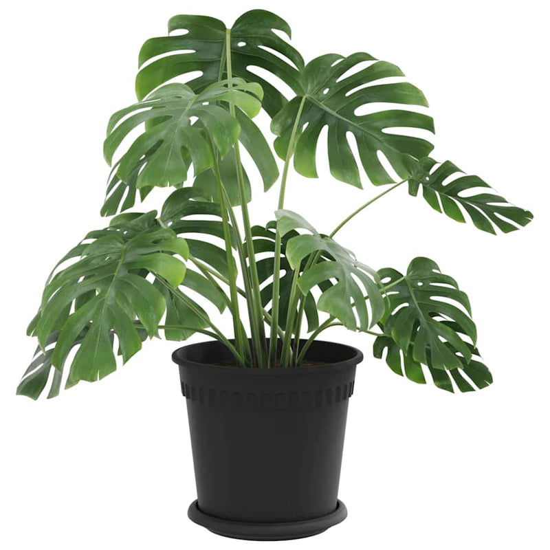 Ghivece pentru plante 24 buc. Negru Plastic