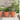 Ghivece pentru plante 6 buc. Roșu cărămidă Ø 26 x 21.5 cm
