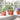 Ghivece pentru plante 6 buc. Roșu cărămidă Plastic