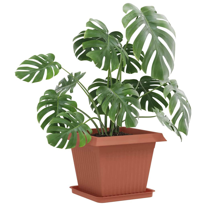 Ghivece pentru plante 6 buc. Roșu cărămidă Plastic