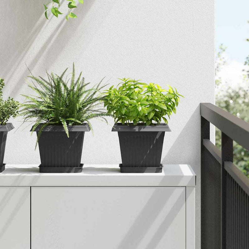 Ghivece pentru plante 6 buc. Negru Plastic