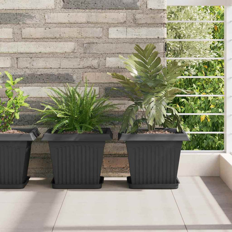 Ghivece pentru plante 6 buc. Negru Plastic