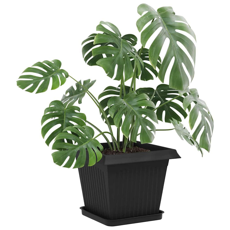 Ghivece pentru plante 6 buc. Negru Plastic