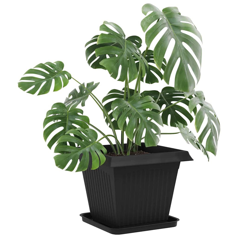 Ghivece pentru plante 6 buc. Negru Plastic