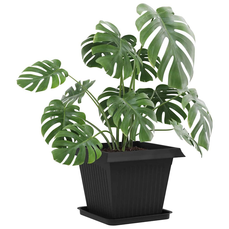 Ghivece pentru plante 6 buc. Negru Plastic