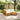 5 buc. Set de canapele de exterior Lemn Solid de Acacia Maro