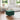 Ottoman cu Depozitare Verde închis 60 x 60 x 45 cm Catifea