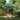 Cort pentru Petreceri 200 x 200 x 306 cm Verde Material Oxford