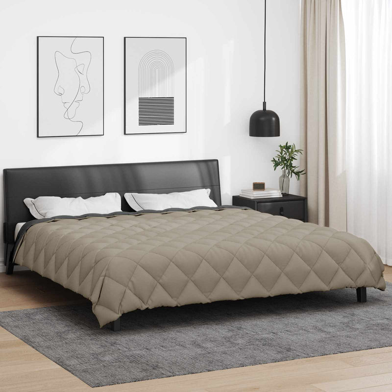 Duvet de iarnă 200 x 220 cm 450 gsm Microfibră (100% poliester)