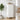 Bufet Alb foarte lucios 33 x 34,5 x 90 cm Lemn prelucrat