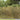 Gard trelis extensibil 2 buc. 100 x 105 cm Bambus Maro deschis