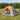 Cort de camping cu protecție împotriva ploii, rezistent la apă