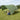 Cort de camping rezistent la apă Verde 550 x 400 x 230 cm