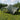 Cort pentru Petreceri Verde militar 500 x 500 x 350 cm