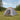 Cort de Camping 4 persoană Gri și Portocalie
