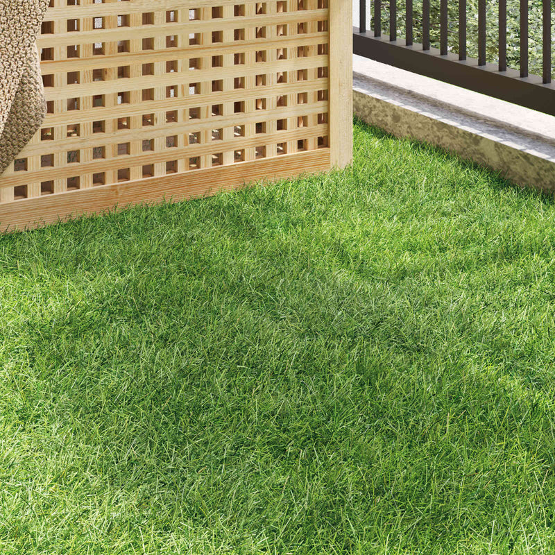 Iarbă artificială Verde 1 x 8 m / 50 mm PP & PE