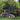 Perete lateral pentru cort de petrecere 2 buc. 200 x 195 cm