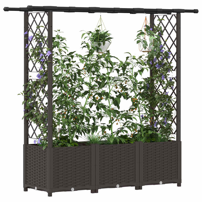Pat Ridicat cu Trellis și Acoperiș Maro 162,5 x 40 x 136 cm PP