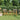 Scaun director 100% poliester solid-teak