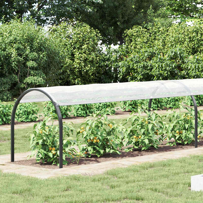 Husă pentru plante Transparent 1 x 12 m PE