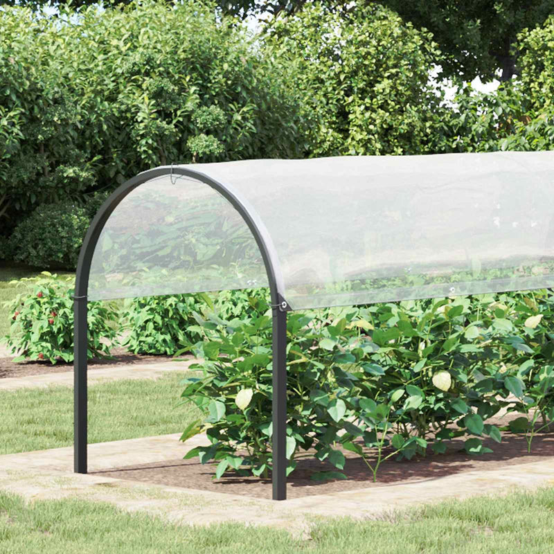 Husă pentru plante Transparent 2 x 12 m PE