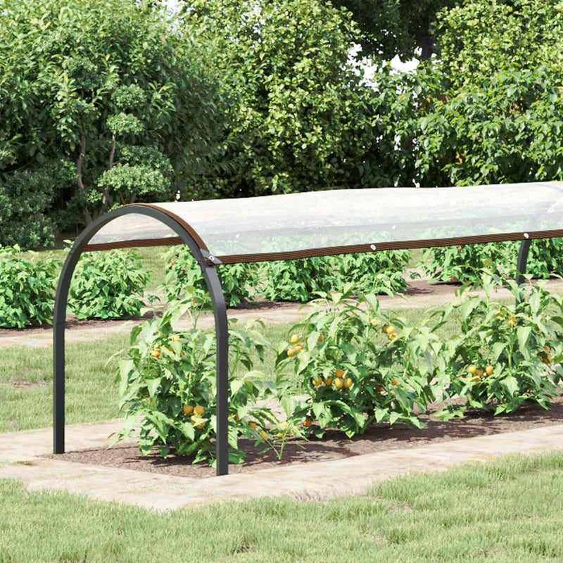 Husă pentru plante Transparent 20 x 1,5 m PE