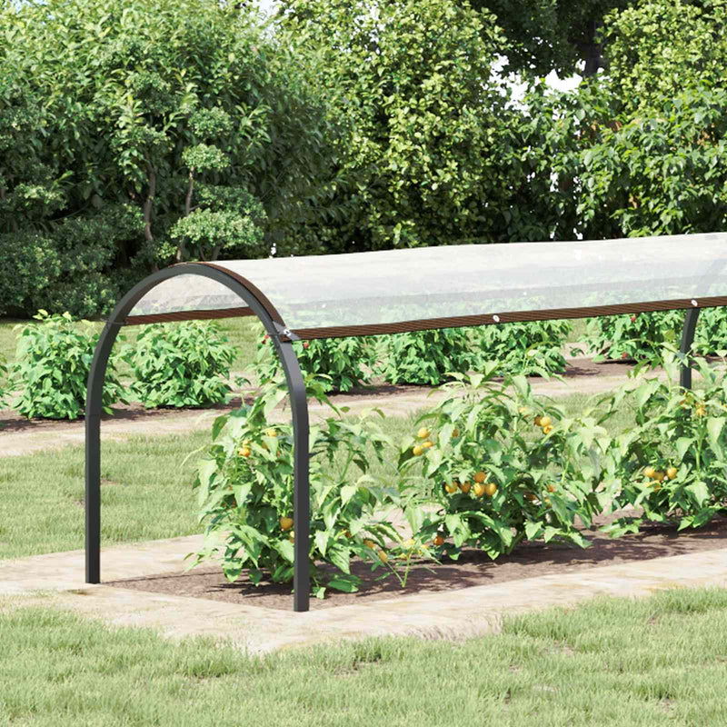 Husă pentru plante Transparent 2 x 1,5 m PE