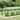 Husă pentru plante 1,5 x 20 m PVC Transparent