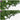 Ecran de balcon cu frunze Verde 200 x 75 cm