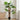 Palmier Artificial cu Frunze Verde 75 x 25 x 180 cm