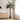 Copac Artificial Cocuspalm Verde 70 x 20 x 200 cm