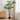 Planta artificială Monstera Verde 70 x 16 x 130 cm
