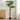 Planta artificială Monstera Verde 94 x 18 x 170 cm