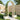 Arc de trandafiri cu ghiveci Alb 168,5 x 43 x 207 cm PP