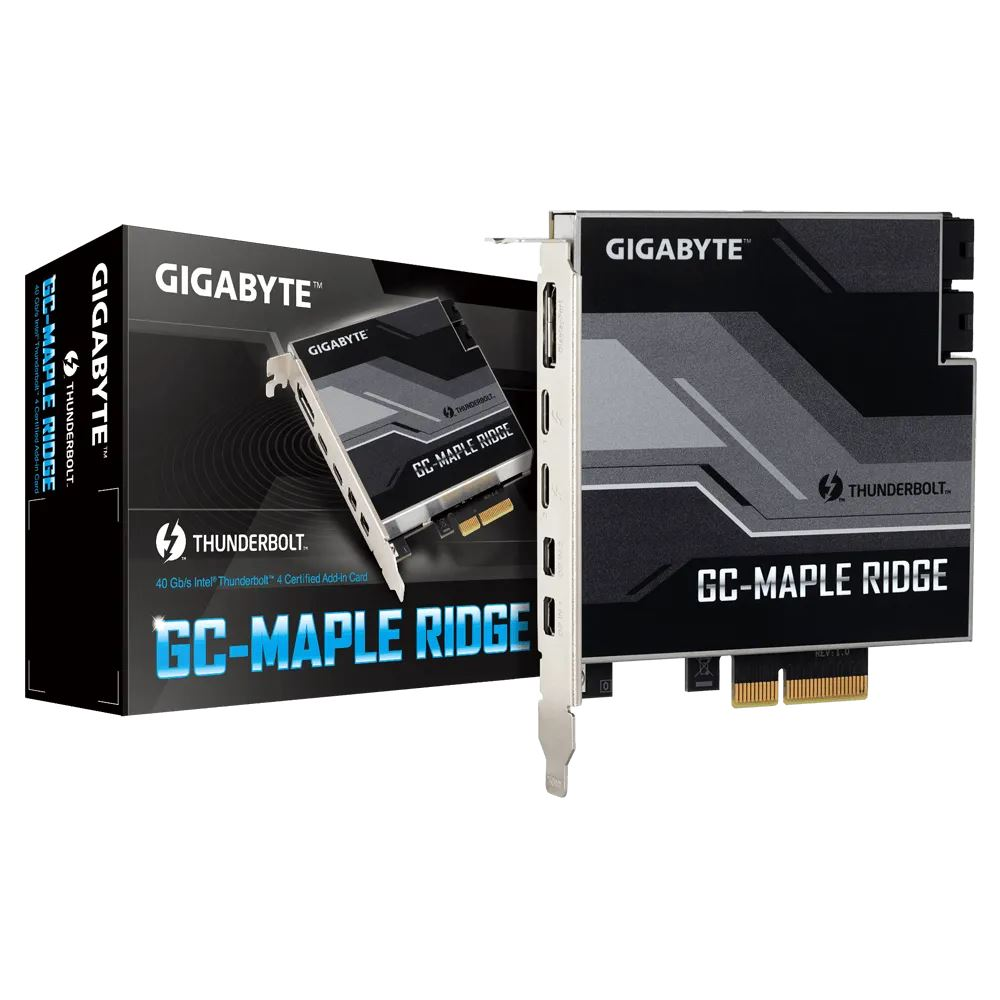 Gigabyte GC-MAPLE RIDGE csatlakozókártya/illesztő Belső DisplayPort, Mini DisplayPort, Thunderbolt 4, USB 3.2 Gen 2 (3.1 Gen 2) (GC-MAPLE RIDGE)-0