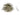 Agrafe 32 mm Forster 100 buc/cutie