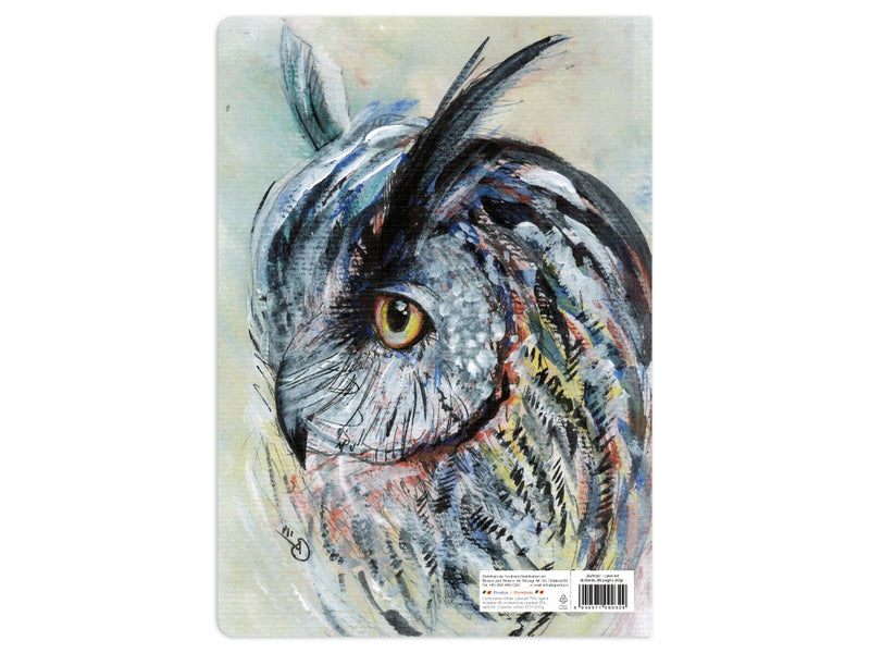 Caiet Aperta, Bufnița, A4, 48 file, 80g, Dictando