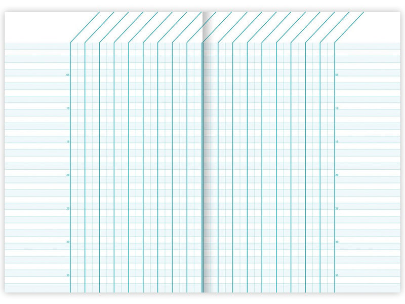Carnet special A5 capsat, 40 file, Clairefontaine Fantasy