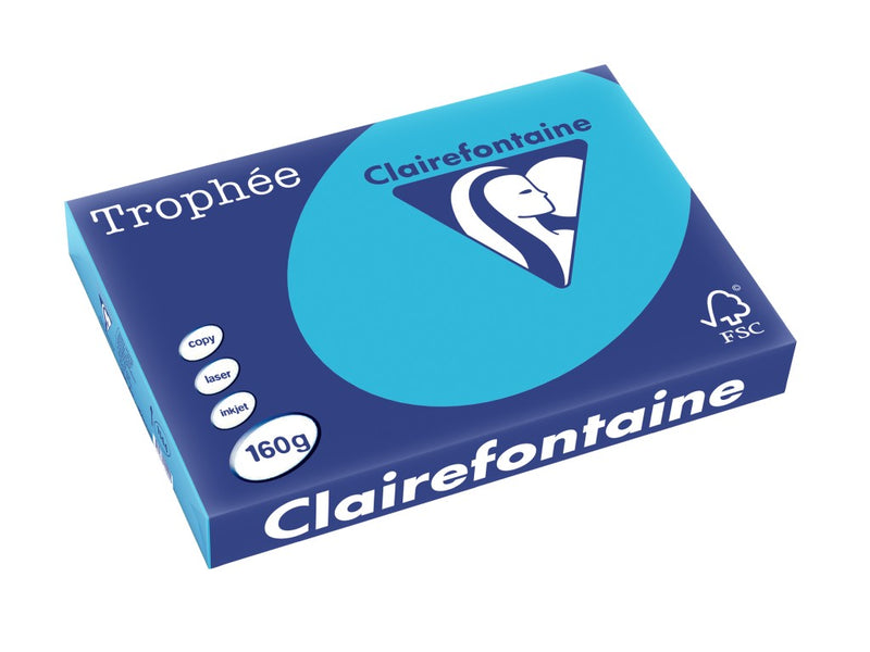 Carton A3 160 g/mp color intens 250/top Clairefontaine