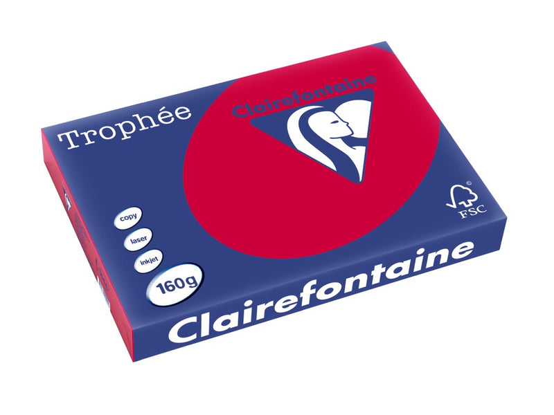 Carton A3 160 g/mp color intens 250/top Clairefontaine