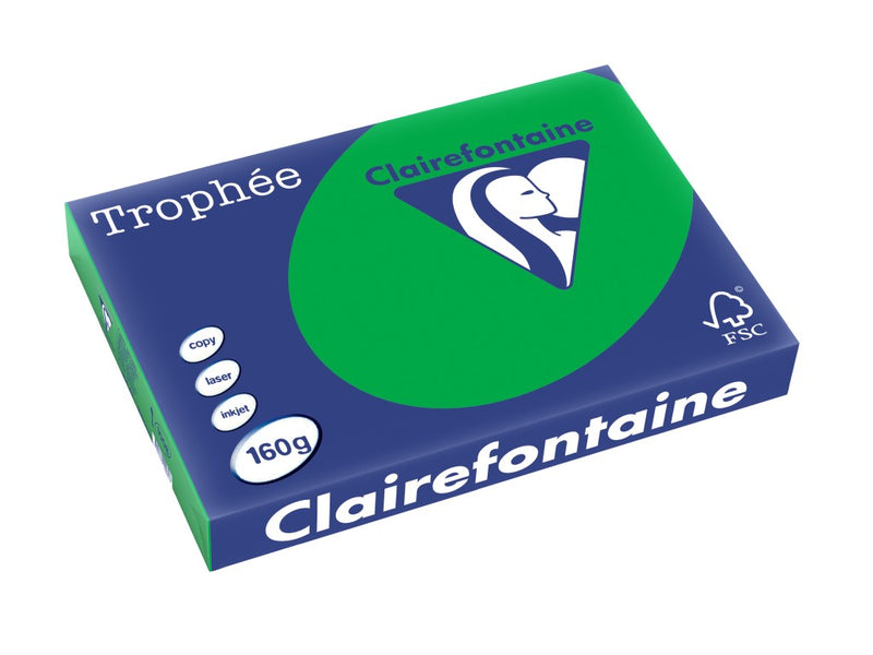 Carton A3 160 g/mp color intens 250/top Clairefontaine