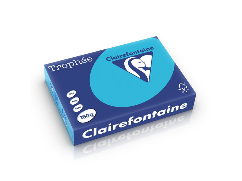 Carton A4 160 g/mp color intens 250 file/top Clairefontaine