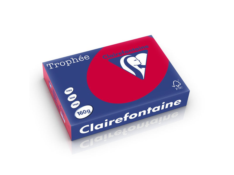 Carton A4 160 g/mp color intens 250 file/top Clairefontaine