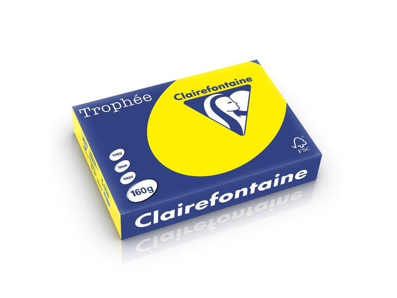 Carton A4 160 g/mp color intens 250 file/top Clairefontaine