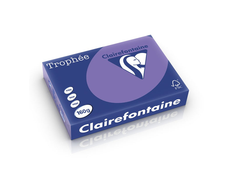 Carton A4 160 g/mp color intens 250 file/top Clairefontaine