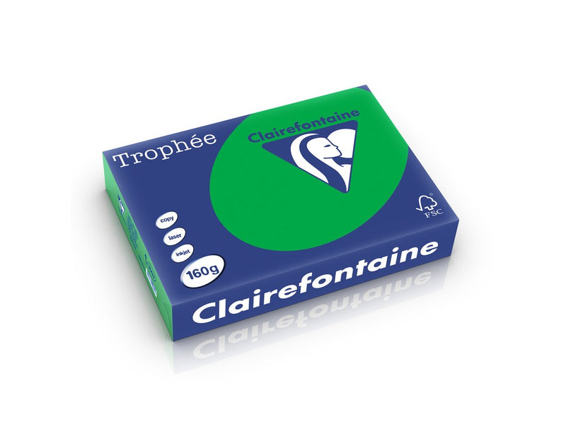 Carton A4 160 g/mp color intens 250 file/top Clairefontaine