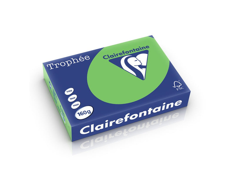 Carton A4 160 g/mp color intens 250 file/top Clairefontaine