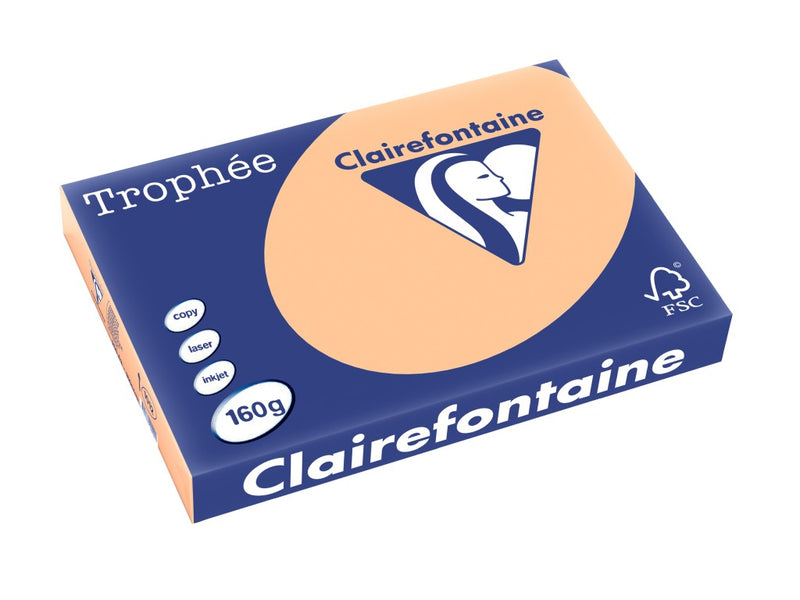 Carton A3 160 g/mp color pal 250/top Clairefontaine