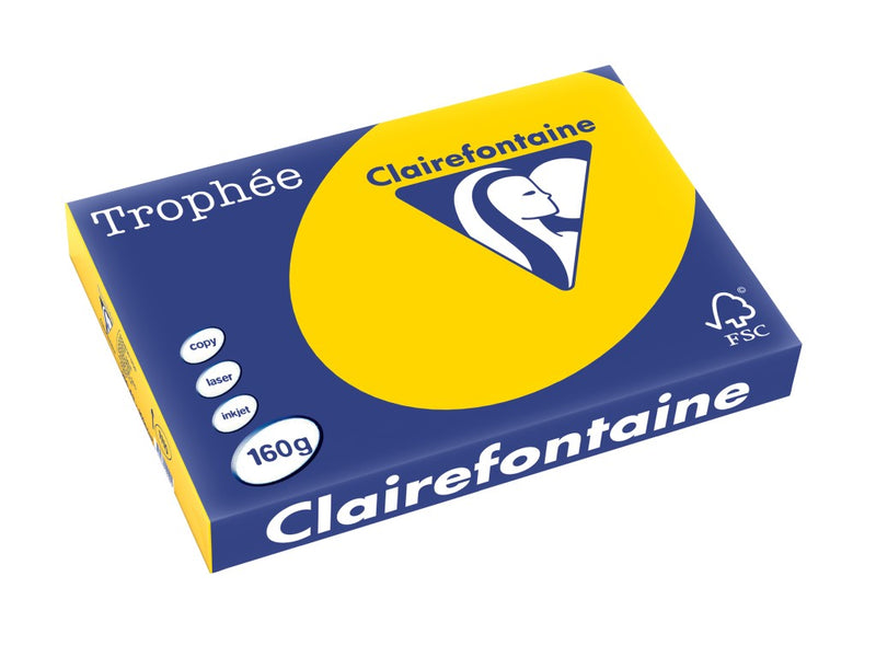 Carton A3 160 g/mp color pal 250/top Clairefontaine