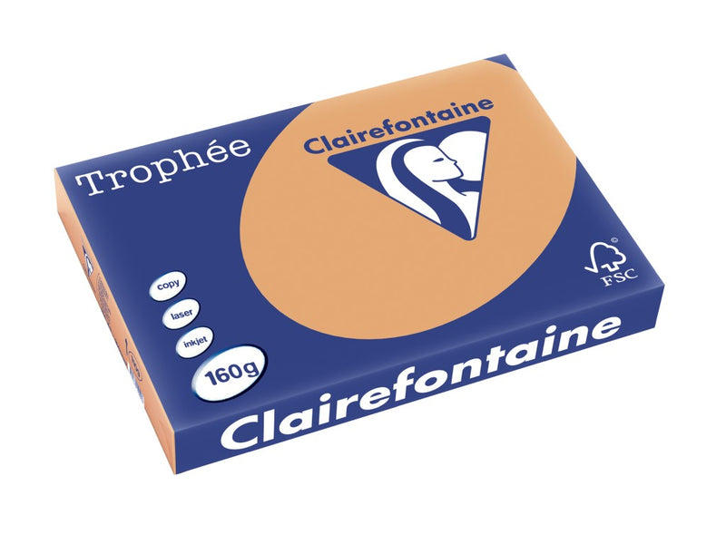 Carton A3 160 g/mp color pal 250/top Clairefontaine